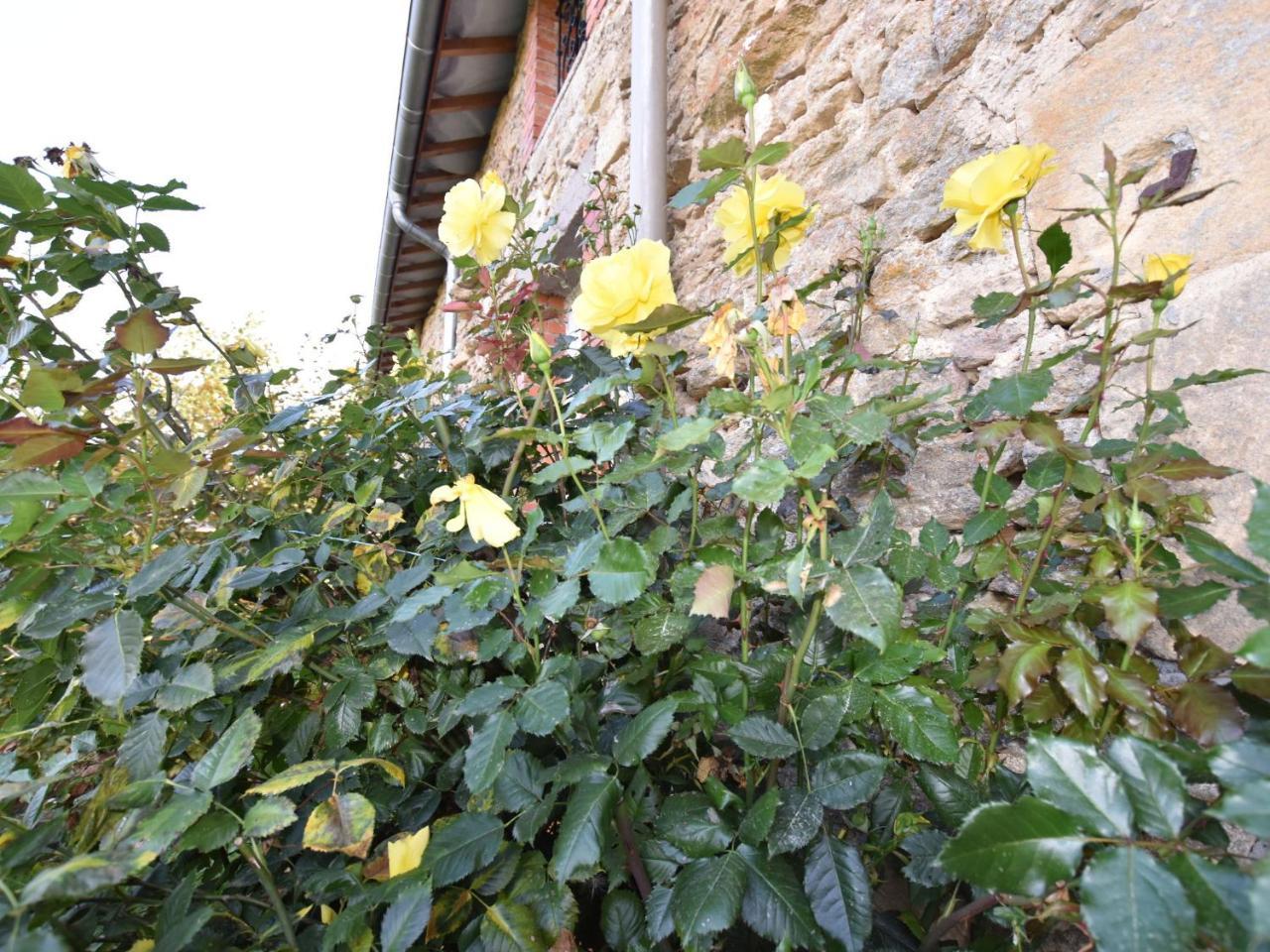 Spacious Holiday Home Near The Forest Barricourt Esterno foto